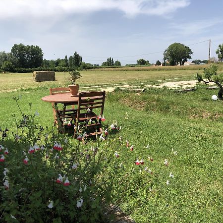Le Mas Marguerite Arles Exteriér fotografie