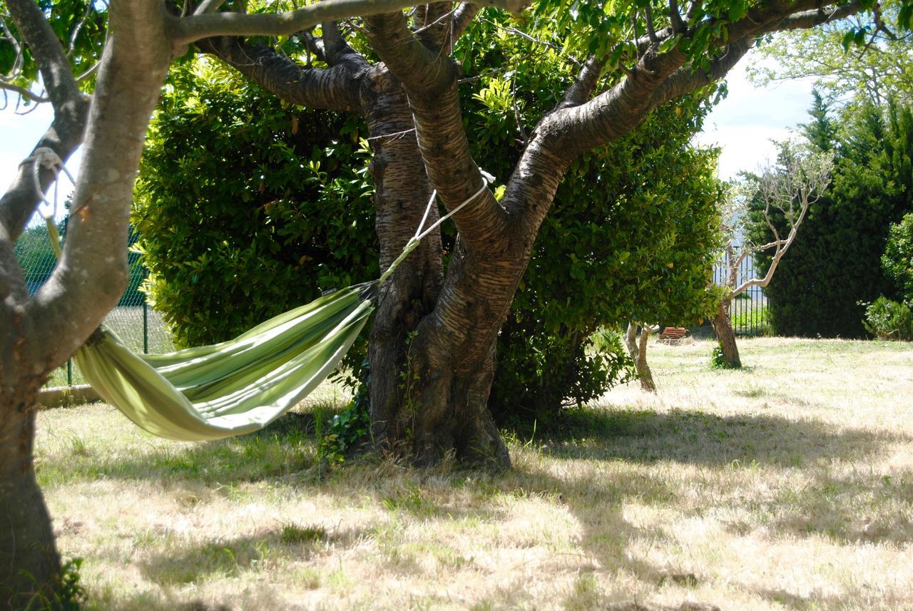 Le Mas Marguerite Arles Exteriér fotografie