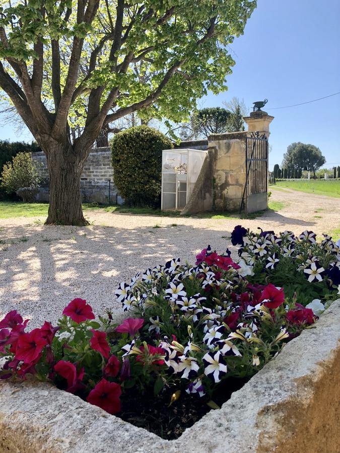 Le Mas Marguerite Arles Exteriér fotografie